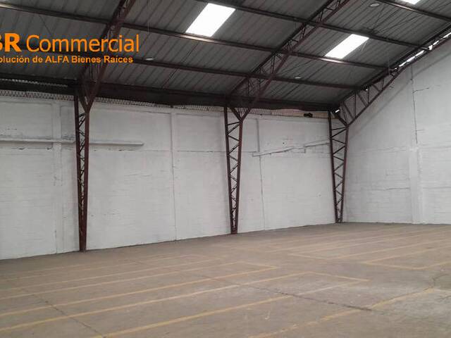 Bodegas para Alquiler en Guayaquil - 4