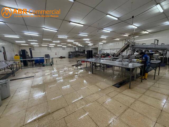 #4750 - Bodegas para Venta en Guayaquil - G