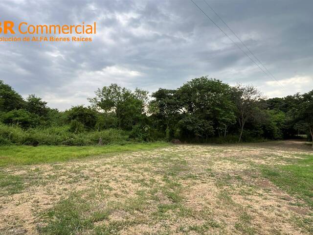 #6206 - Terrenos Industriales para Venta en Guayaquil - G