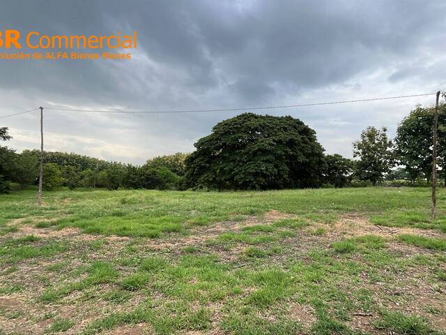 #6206 - Terrenos Industriales para Venta en Guayaquil - G