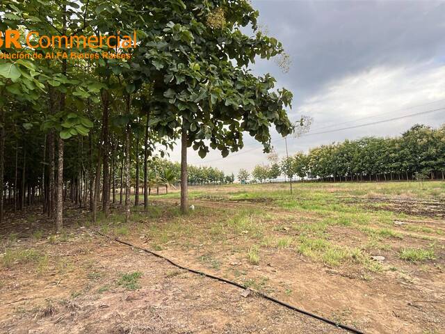 Venta en Vía a La Costa - Guayaquil