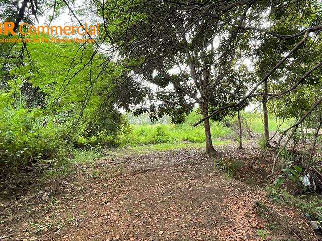 Terrenos Industriales para Venta en Guayaquil - 4