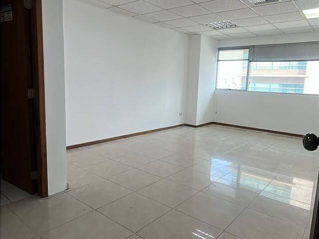 Oficinas para Alquiler en Guayaquil - 4