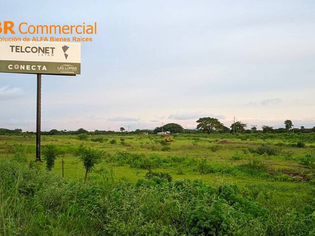 #6373 - Terrenos Industriales para Venta en Lomas De Sargentillo - G - 1