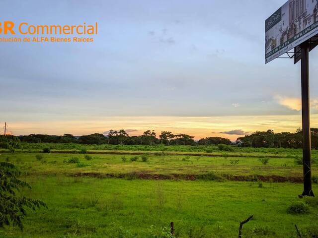 #6375 - Terrenos Industriales para Venta en Lomas De Sargentillo - G