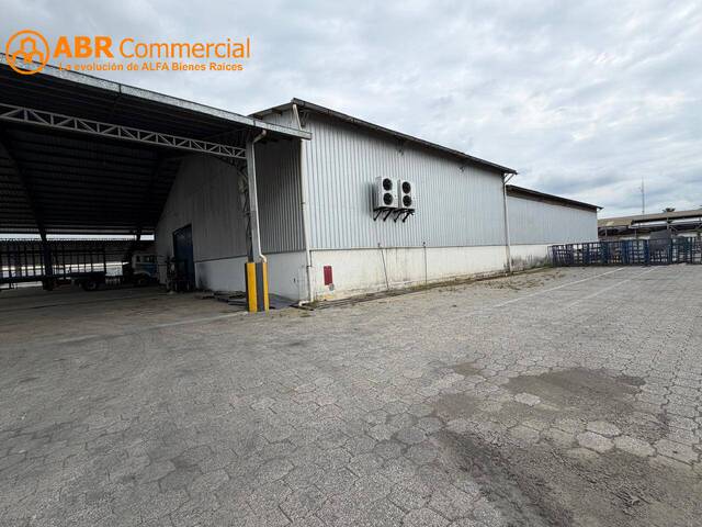 #6446 - Bodegas para Alquiler en Guayaquil - G - 3