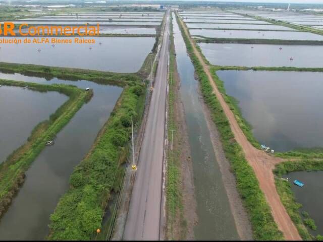 Venta en Vía Durán Tambo - Durán