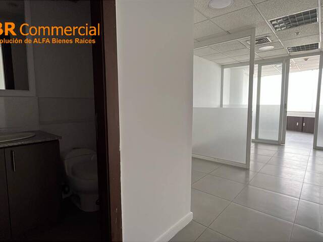 Oficinas para Alquiler en Guayaquil - 5