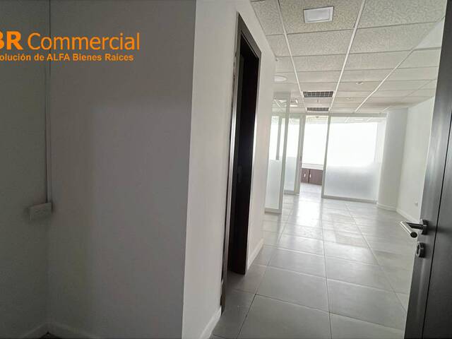 Oficinas para Alquiler en Guayaquil - 4