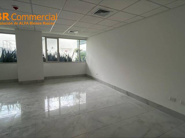 Oficinas para Venta en Daule - 4