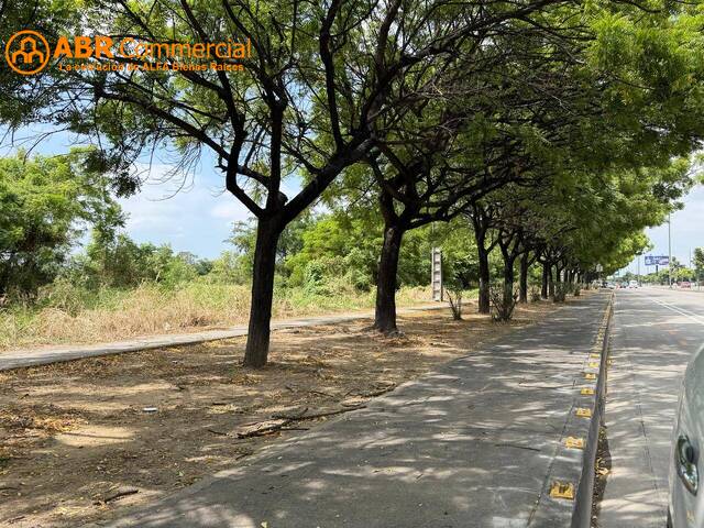 Terreno para Alquiler en Guayaquil - 5