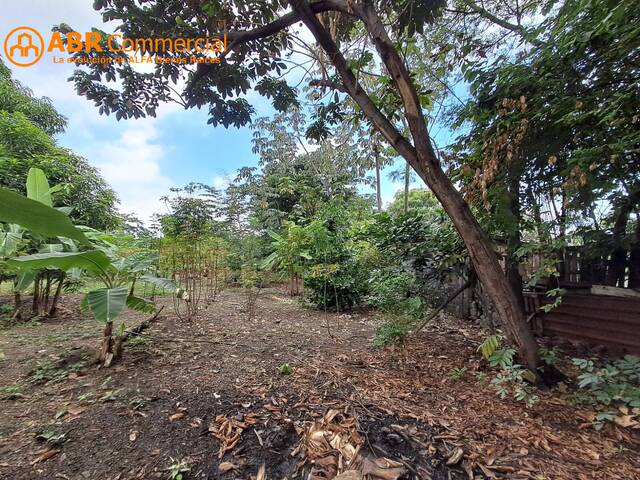 #6168 - Terrenos Industriales para Venta en Guayaquil - G - 3
