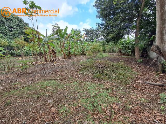 #6168 - Terrenos Industriales para Venta en Guayaquil - G - 2