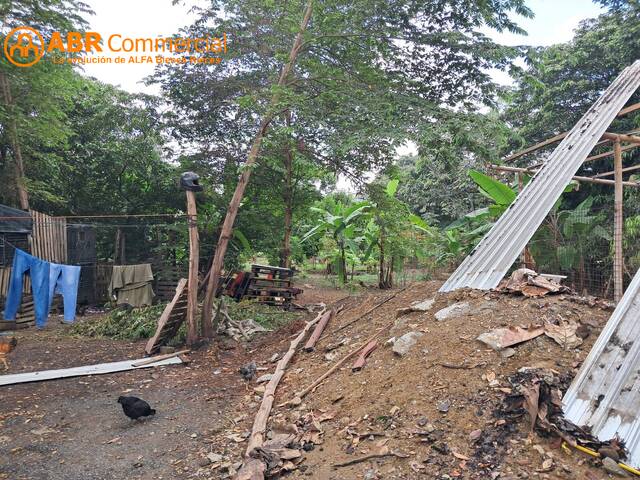 Terrenos Industriales para Venta en Guayaquil - 5