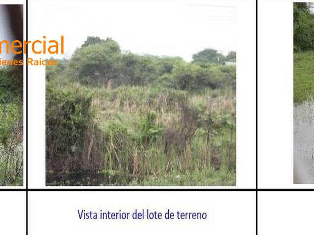 para en - 3