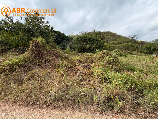Terreno para Venta en Guayaquil - 3