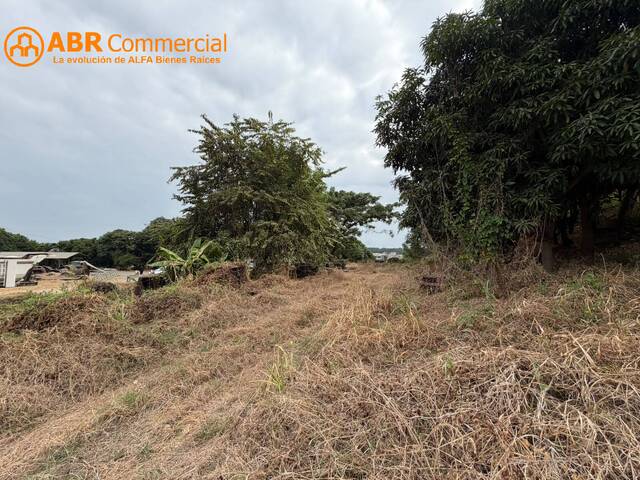 Terreno para Venta en Guayaquil - 5