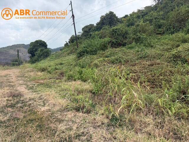 #6520 - Terrenos Industriales para Venta en Guayaquil - G - 2