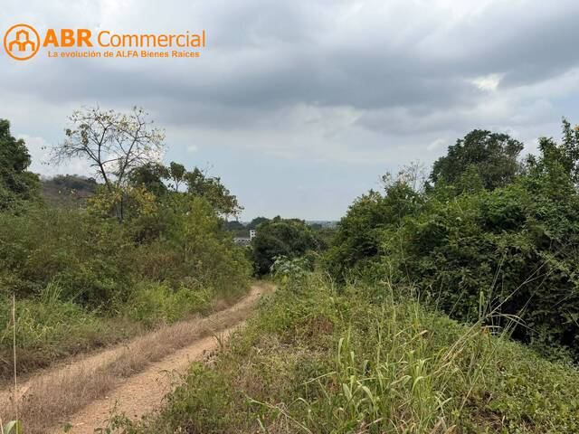 #6520 - Terrenos Industriales para Venta en Guayaquil - G - 1