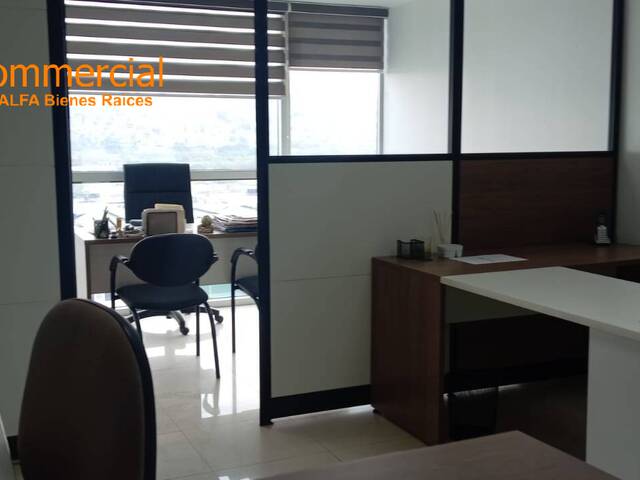 #6544 - Oficinas para Alquiler en Guayaquil - G - 2