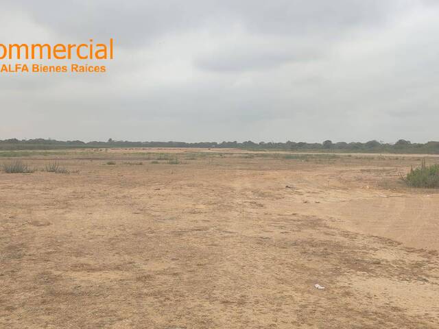 Terrenos Industriales para Venta en Durán - 4