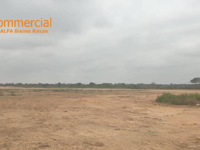 #4659 - Terrenos Industriales para Venta en Durán - G - 3