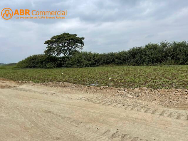 #4686 - Terreno para Venta en Samborondón - G - 2