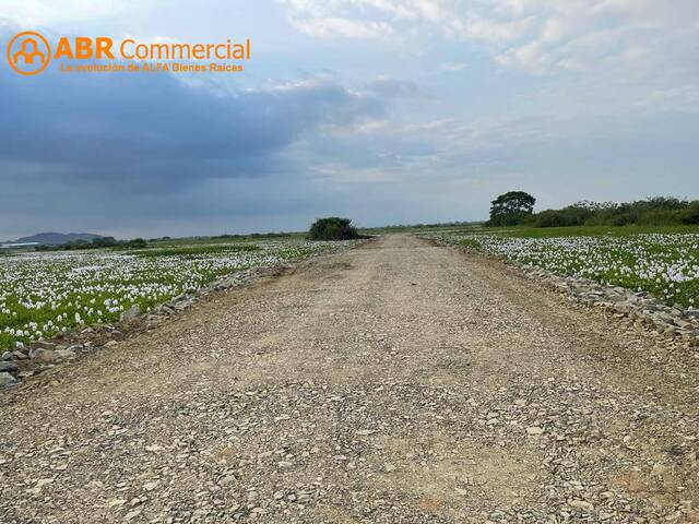 #4687 - Terreno para Venta en Samborondón - G - 2