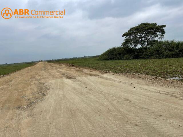 Terreno para Venta en Samborondón - 5