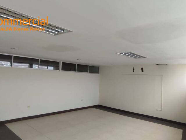 #4805 - Oficinas para Alquiler en Guayaquil - G - 3