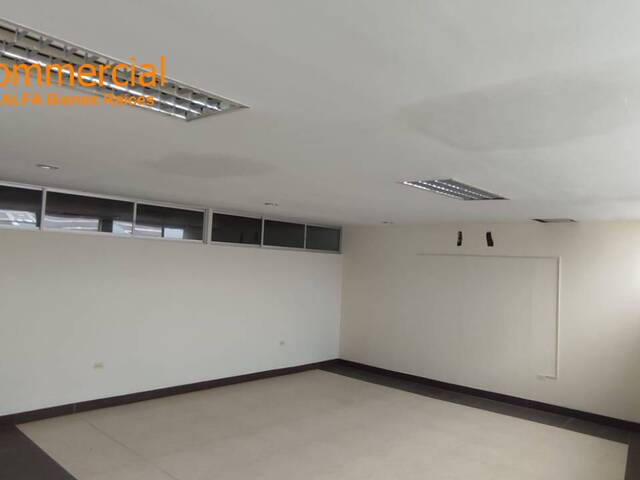 Oficinas para Alquiler en Guayaquil - 4