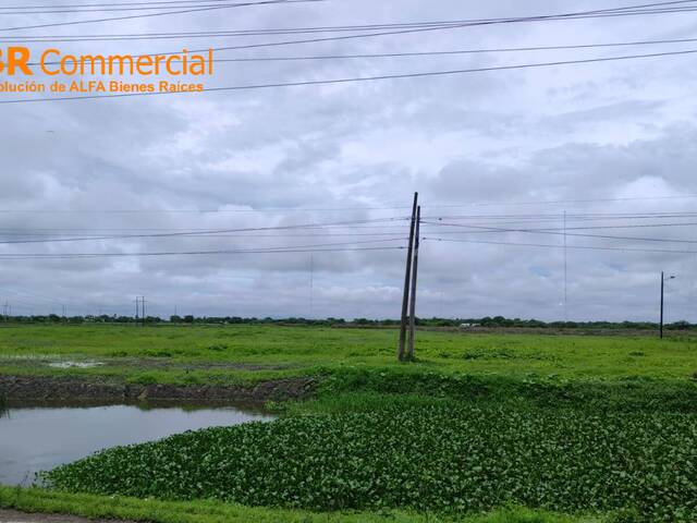 Terrenos Industriales para Venta en Durán - 4
