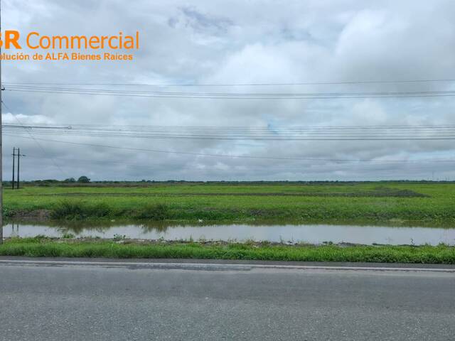 Terrenos Industriales para Venta en Durán - 5