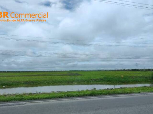 Terrenos Industriales para Venta en Durán - 4