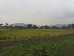 Terrenos Industriales para Venta en Daule - 4