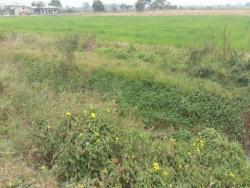 Terrenos Industriales para Venta en Daule - 5