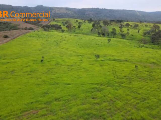 Terreno para Venta en Guayaquil - 4