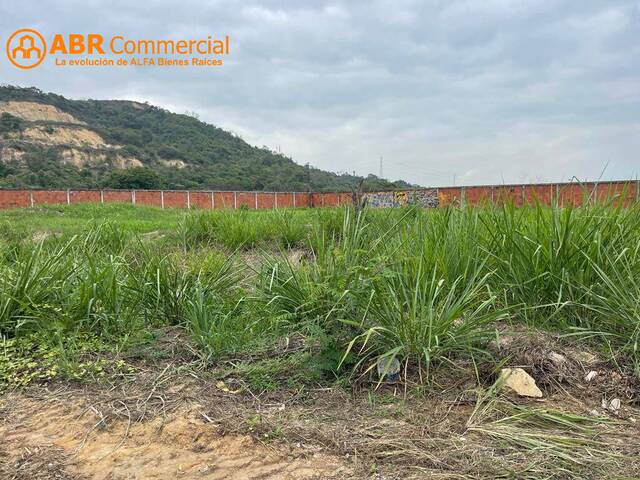 Terrenos Industriales para Venta en Daule - 5
