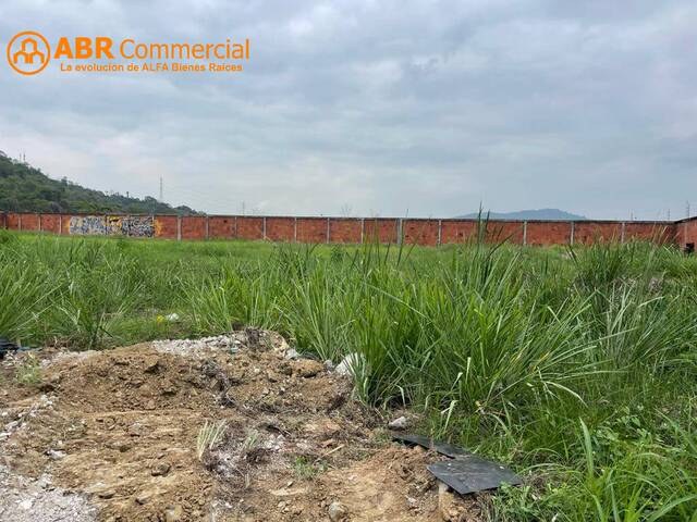 Terrenos Industriales para Venta en Daule - 5