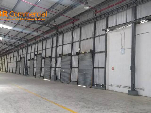 Bodegas para Alquiler en Guayaquil - 5
