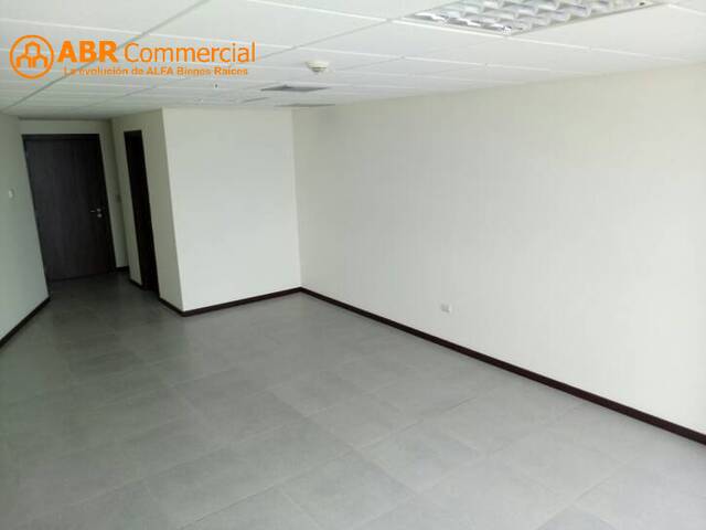 Oficinas para Alquiler en Guayaquil - 4