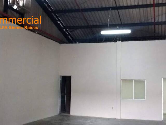 Bodegas para Alquiler en Guayaquil - 4