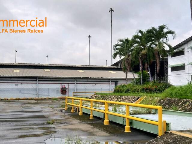 #6028 - Bodegas para Alquiler en Guayaquil - G - 3