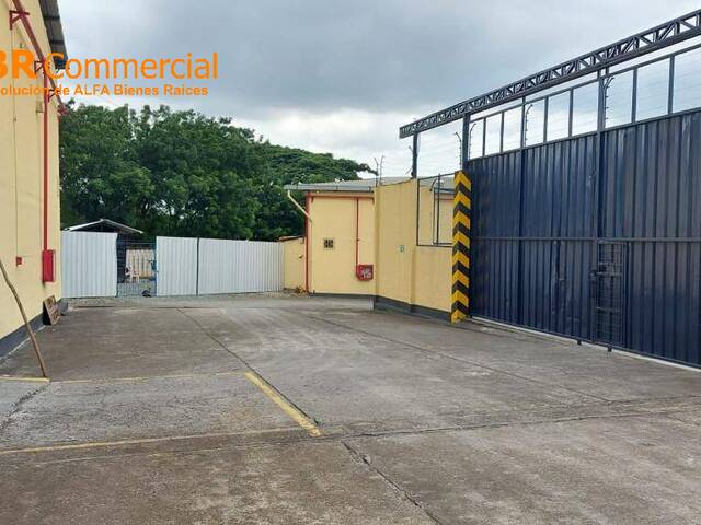 #6110 - Bodegas para Alquiler en Guayaquil - G - 3