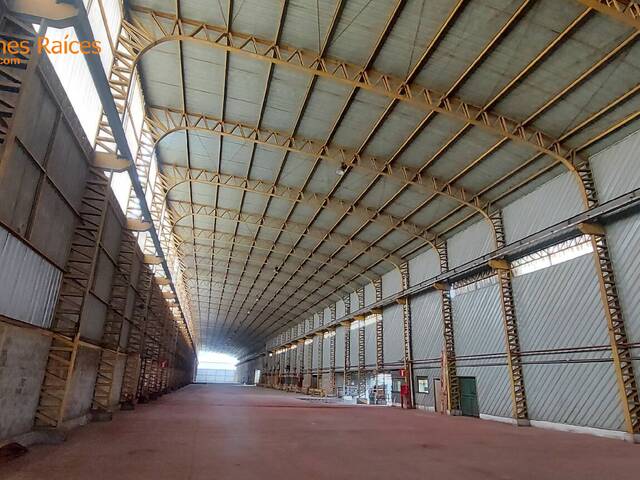 #6257 - Bodegas para Alquiler en Guayaquil - G - 2