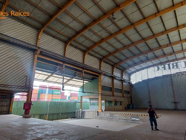 Bodegas para Alquiler en Guayaquil - 4