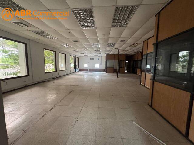 Oficinas para Alquiler en Guayaquil - 4