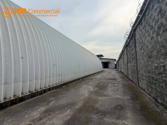 Bodegas para Alquiler en Guayaquil - 5
