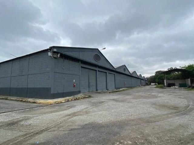 Bodegas para Alquiler en Guayaquil - 4