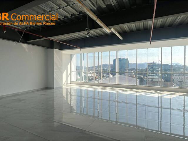 Oficinas para Alquiler en Guayaquil - 3